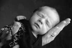 Newborns