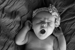 Newborns-011