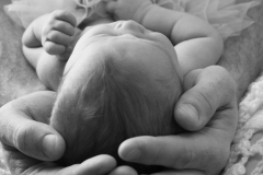 Newborns-012